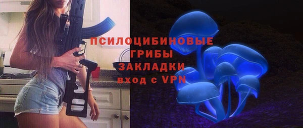 гашик Осинники