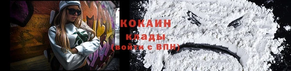 гашик Осинники
