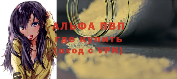 гашик Осинники