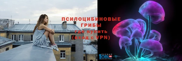 ECSTASY Осташков
