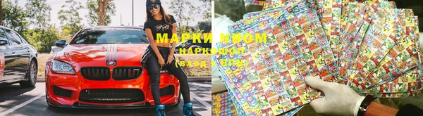 гашик Осинники
