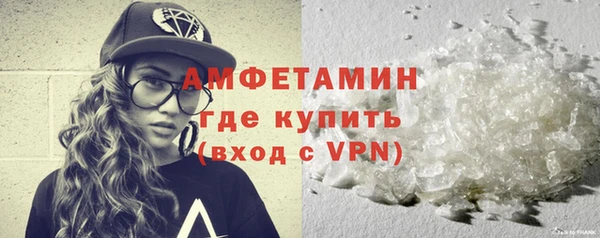 гашик Осинники
